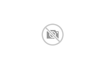 Disque blanc 20x406 mm